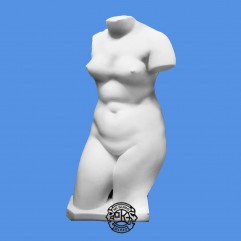 토르소(大)