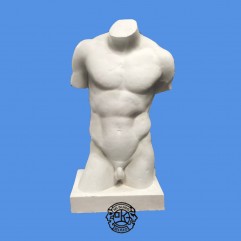 남자토르소
