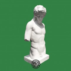 아무르반신